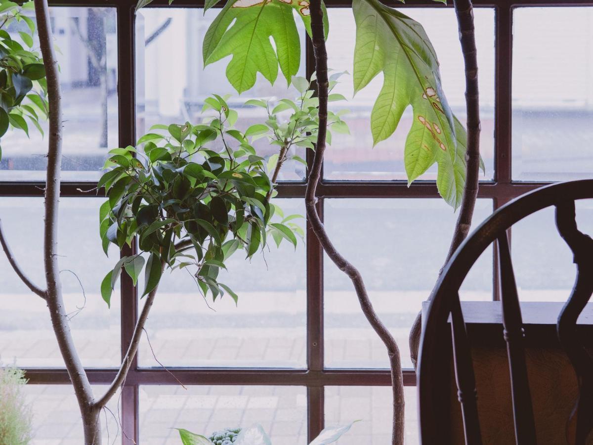 Guesthouse Hitoyado Shizuoka Ngoại thất bức ảnh